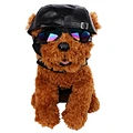 dog cool jacket