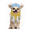 Pet Dog Warrior Hat