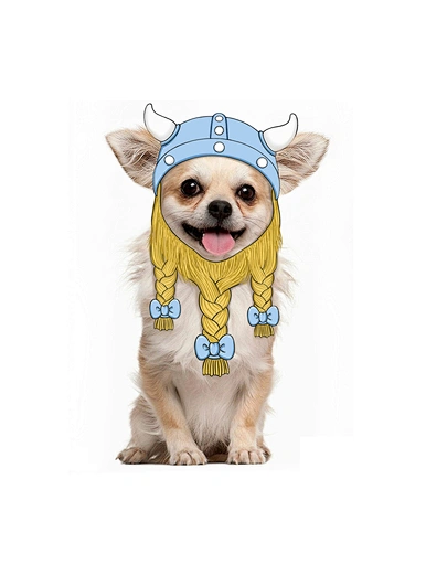 small dog clothes