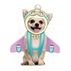 Pet Dog Aviator Clothes