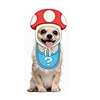 Pet Dog Mushroom Clothes