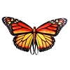 easter wing