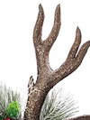 Adjustable Reindeer Antlers