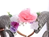 Mask Antler Headpiece