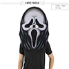 Prosthetic Skull Mask