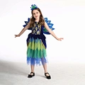 peacock fancy dress