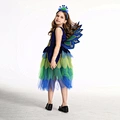 peacock fancy dress