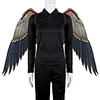 wings of eagles