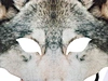 Easter Mardi Gras Animal Mask