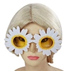 heronsbill Children Sunglasses