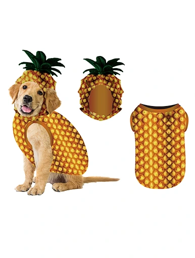 pet dog clothes
