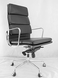Ergonomic Chair