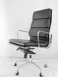 Ergonomic Chair
