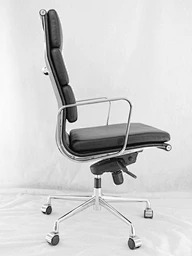 Ergonomic Chair