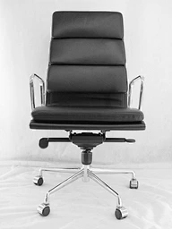 Ergonomic Chair