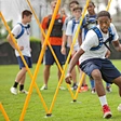 Agility Pole Set