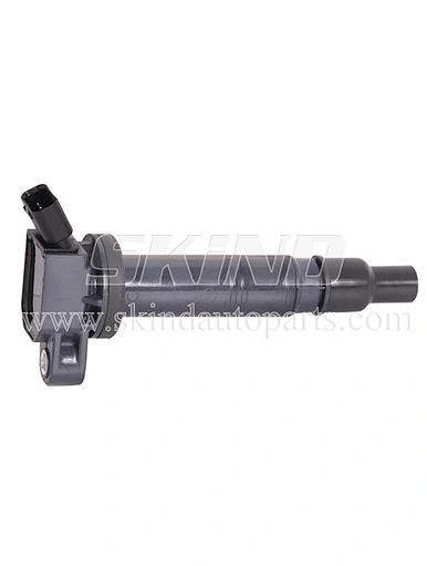 SK-IC0313