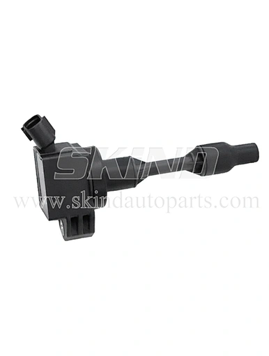 SK-IC0393