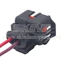 SK-B220