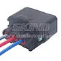 SK-B298