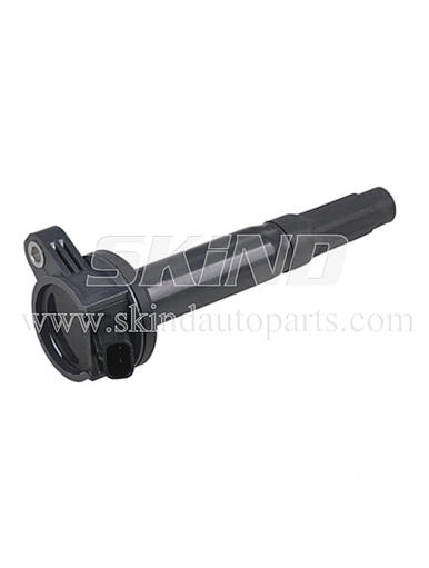 SK-IC0191