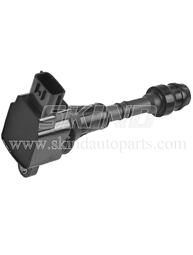 SK-IC0281