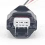 SK-B029