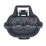SK-B284