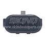 SK-B121