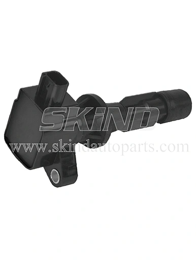 SK-IC0209