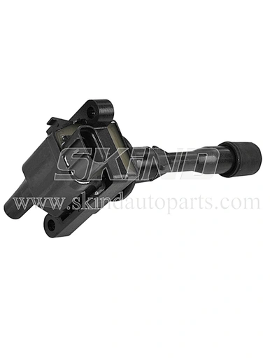 SK-IC0155