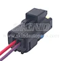 SK-B202