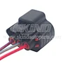 SK-B131