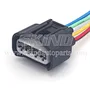SK-B019