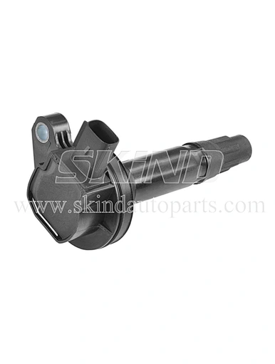 SK-IC0190