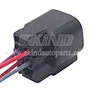SK-B181