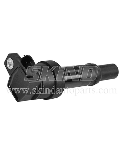 SK-IC0265
