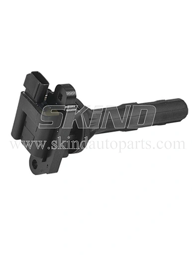 SK-IC0154