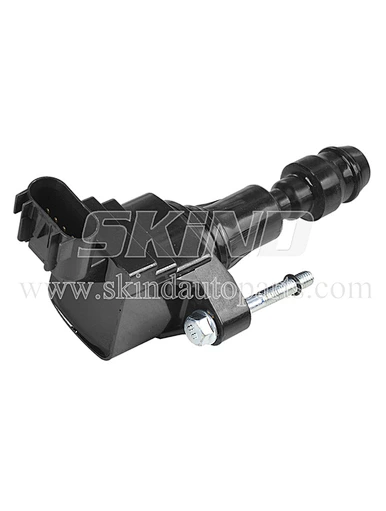SK-IC0096