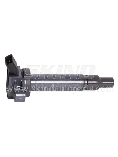 SK-IC0310