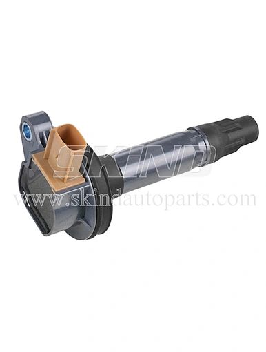 SK-IC0193