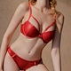 Bras & Panties Set