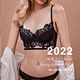 bras and panties set