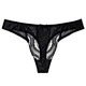 Panties