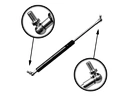 trunk struts