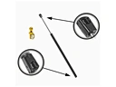 bonnet gas struts