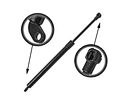 canopy gas struts