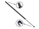 liftgate struts