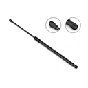 gas spring lift