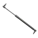 gas window struts